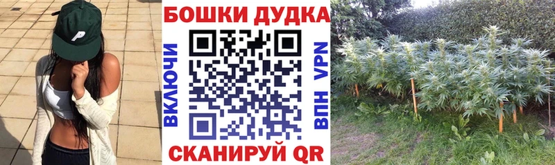 Магазины продажи наркотиков Суздаль ГАШИШ Кокаин Alpha-PVP Меф