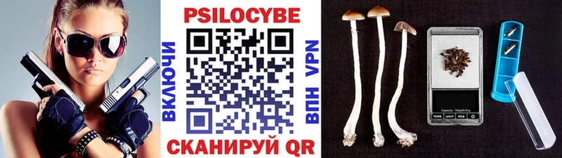 купить   Суздаль  Псилоцибиновые грибы мицелий 