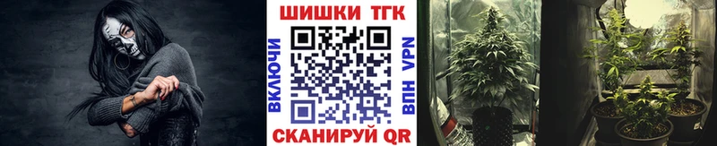 Марихуана Amnesia  Суздаль 